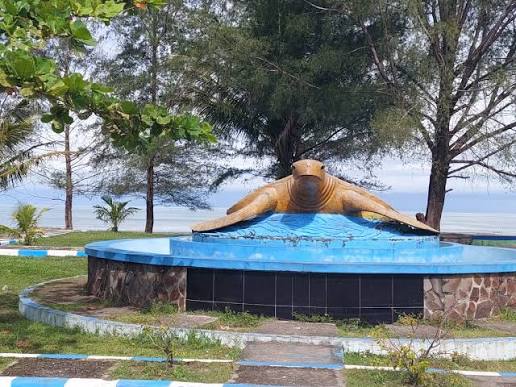 Konservasi Penyu Pariaman